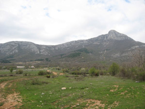 sl1